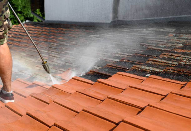 Best Pressure Washing Near Me  in Greenfield, MN