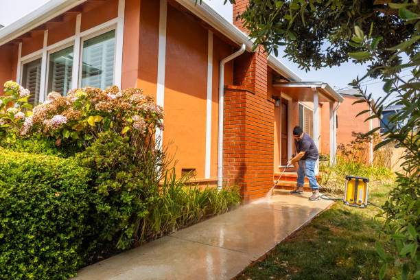 Best Affordable Power Washing  in Greenfield, MN