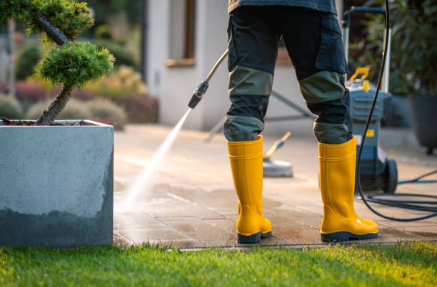 Best Local Pressure Washing Services  in Greenfield, MN